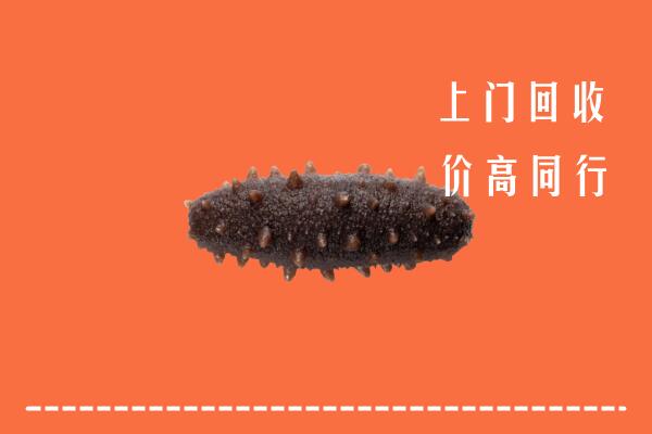 固原回收海参
