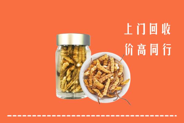 固原回收冬虫夏草